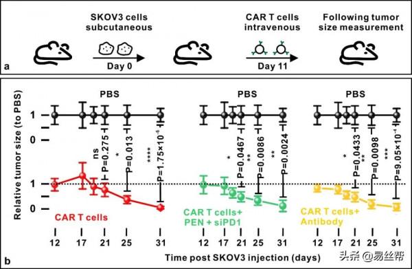 光熱電紡奈米纖維胞內遞送及其在細胞免疫治療的應用