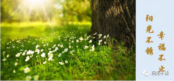 不惜福的人，總有本事一番操作把人生搞砸