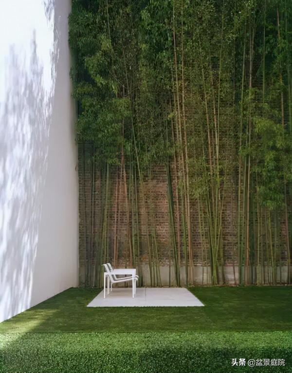 家有竹園，這才是極具風雅之事
