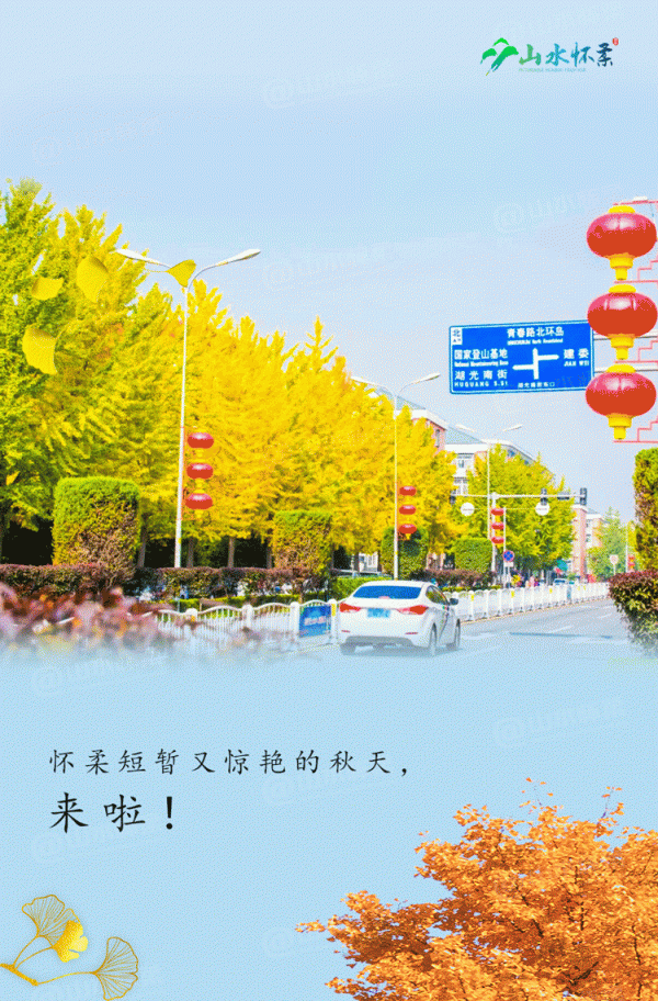 【玩轉懷柔】2021懷柔賞秋攻略出爐！一個字，絕！