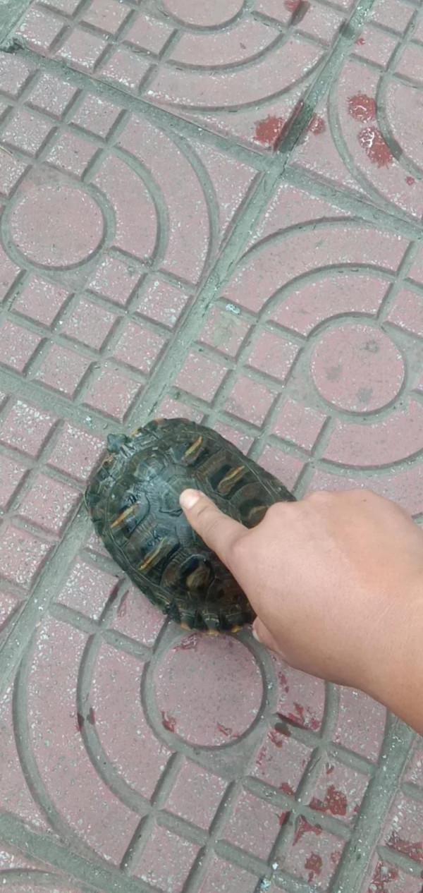 釣魚就是個情調，釣的是個心情，純正野釣走到底不變心