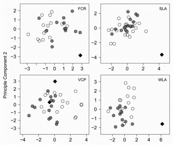 ";價值百萬";的陰陽蝶?身體竟一半是雌性,一半是雄性…… ";價值百萬";的陰陽蝶?身體竟一半是雌性,一半是雄性……