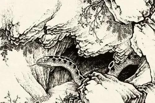 民間故事：農人被毒蛇咬傷，醫院無力迴天，蛇醫：去買瓶墨水