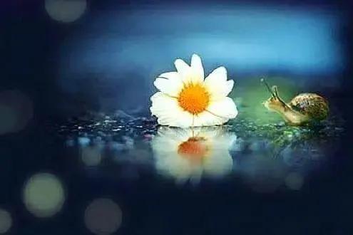 “失獨”家庭（2）