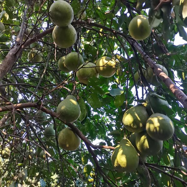 不要透支你和任何人的關係