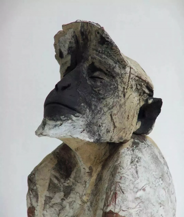 “年度野生動物藝術家”眼中的奇妙動物