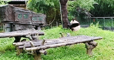 超值二月 歡樂不停 &sol;&sol; 特惠門票、免費遊園、高能福利&period;&period;&period;都在這裡