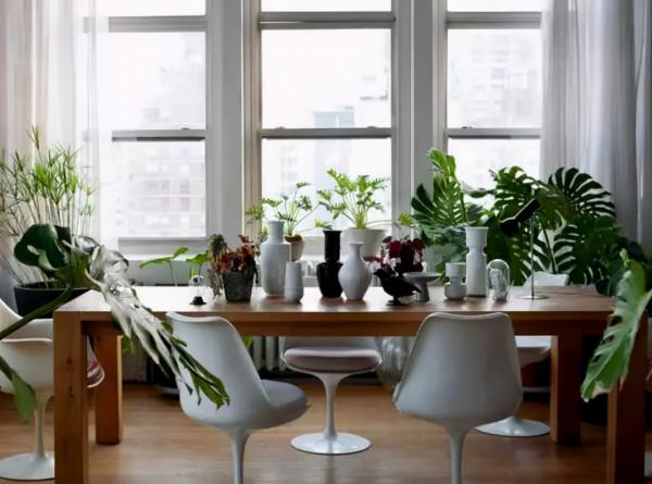 純乾貨 | 養花人必知的20條常識,收好了 純乾貨 | 養花人必知的20條常識,收好了