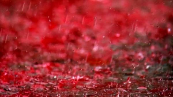 太罕見！美國小鎮下起“動物雨”，無數小魚從天而降，哪來的？