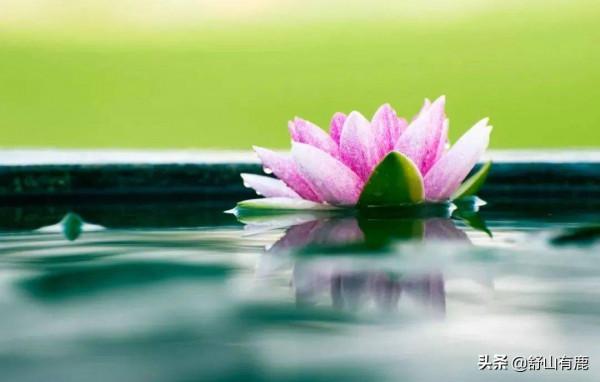 人老了，當個“精明”人，以下四種話，就別說太多了