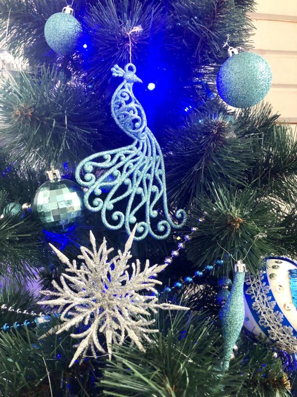 在任何年齡保持頭腦和記憶力強的人 16 個奇怪的技巧