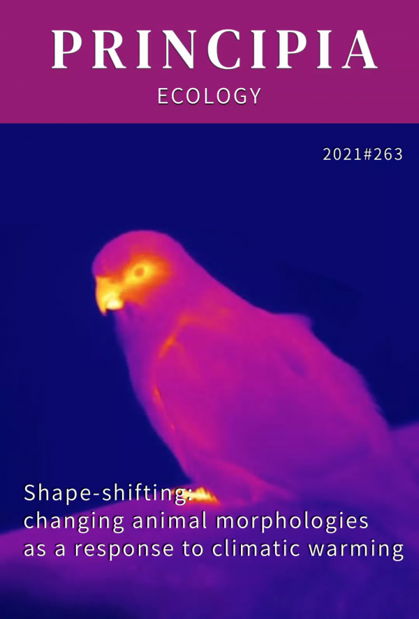 動物,正在變形,原因是? 動物,正在變形,原因是?