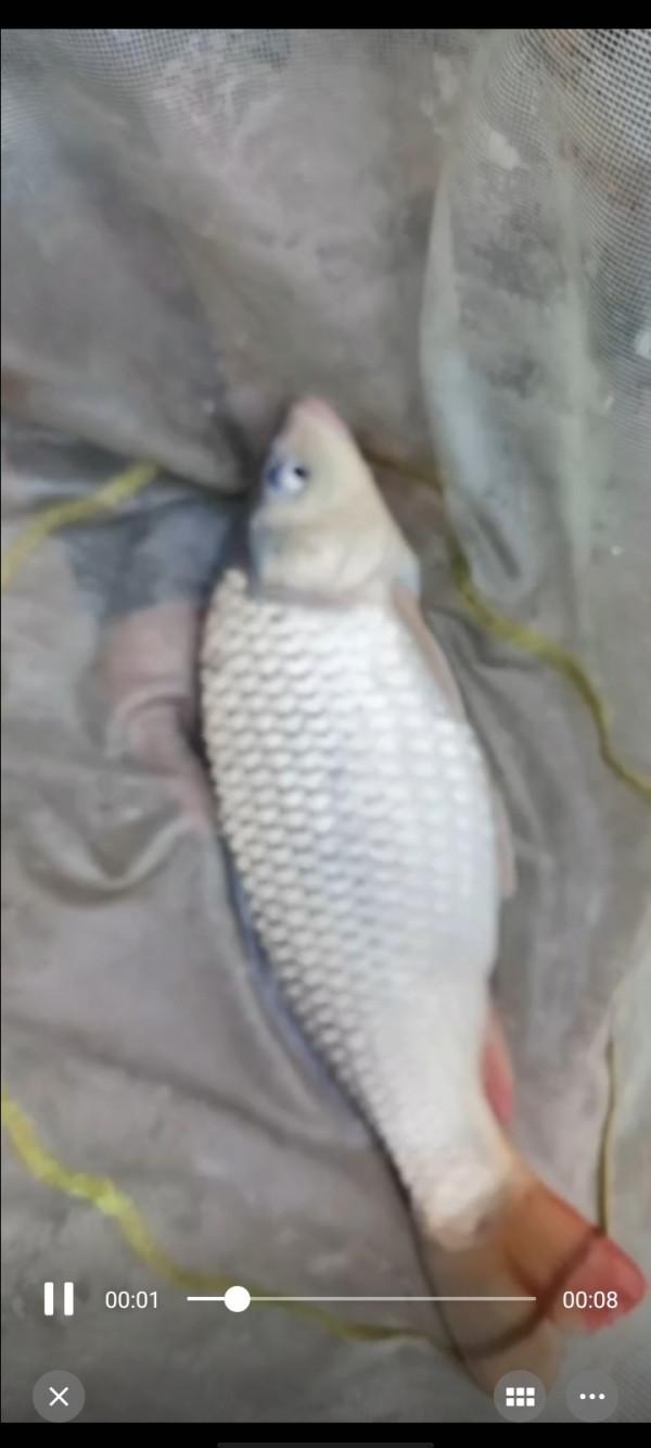 垂釣之旅——日行千里，只為漁你相見