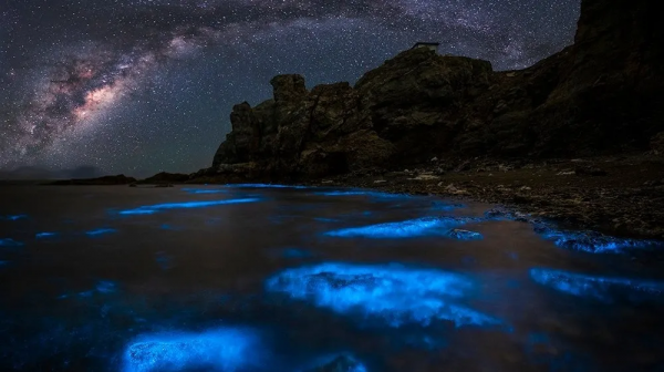 不輸馬代，美過濟州島的10個國內海島，高鐵直達，值得一去