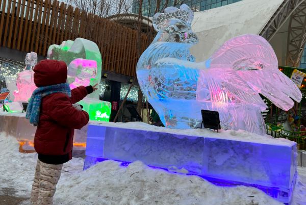 賞冰雕、雪上轉轉、高空滑雪圈......海淀這個地方讓你玩到嗨~