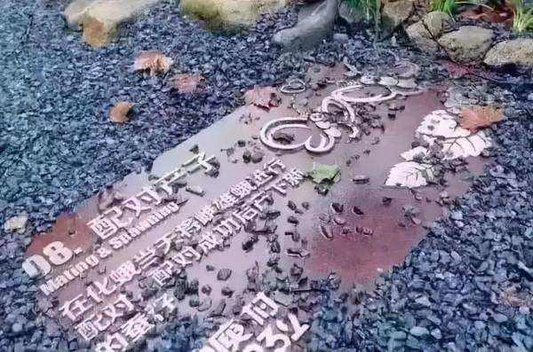 鄉村景觀就需要鄉土化設計,這九種鄉土元素不可少 鄉村景觀就需要鄉土化設計,這九種鄉土元素不可少