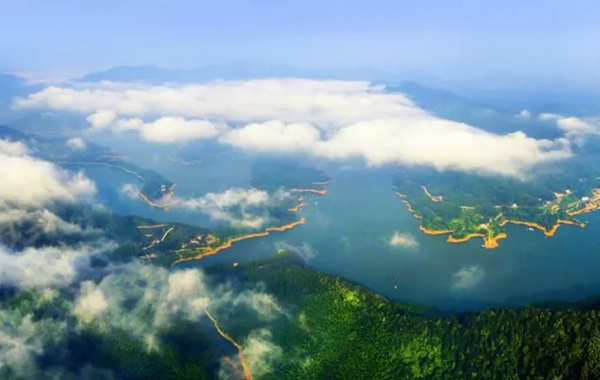 &OpenCurlyDoubleQuote;野人&rdquo;教授何家慶：生前被嫌棄，死後蓋國旗