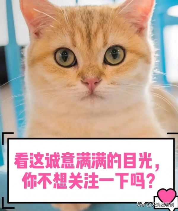 TVB印象深刻角色----《陀槍師姐》鮑國平，悲慘童年，惡魔誕生