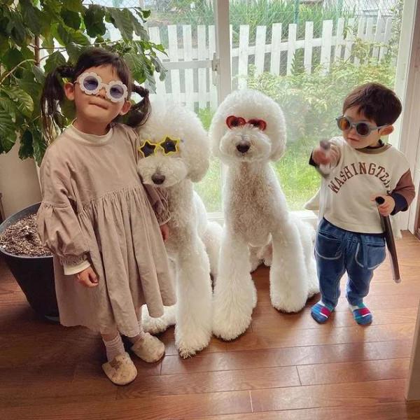 日本奶奶分享小孫女和三隻大狗狗的日常，治癒了56萬+網友…