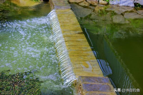 三種自然現象最好不要下竿！多數釣友被坑！老闆：今天又是好日子