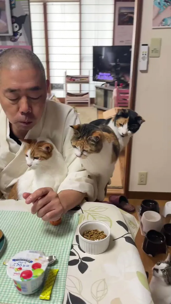 一個人和六隻貓守著一座寺院,吃飯被一群貓環繞會是怎樣的體驗? 一個人和六隻貓守著一座寺院,吃飯被一群貓環繞會是怎樣的體驗?