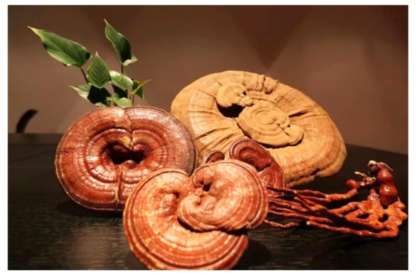 每個中國家庭必備的十味中藥