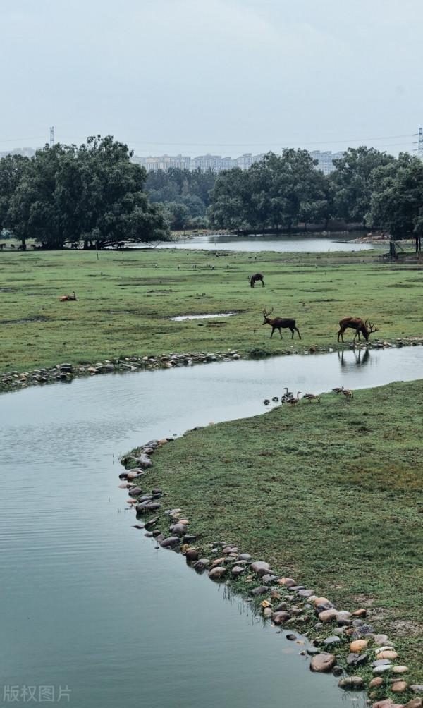 北京最大公園南海子，去了還想去的地方