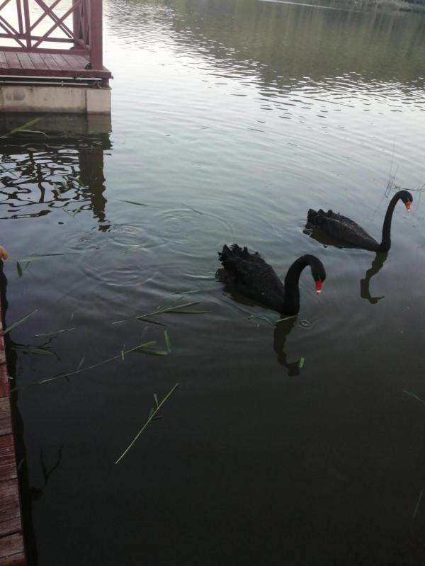 感覺不值得 感覺不值得