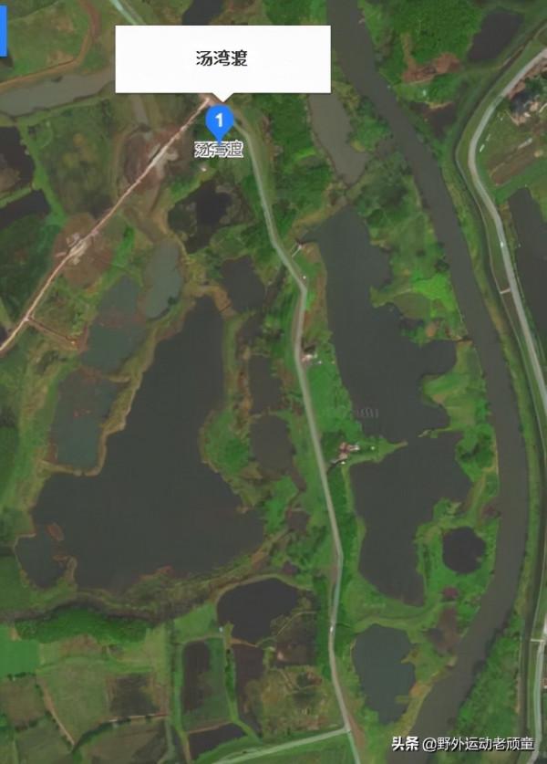 老釣翁釣魚記——9月25日，北湖草蕩東苕溪邊沙坑釣鰱鱅與逆魚