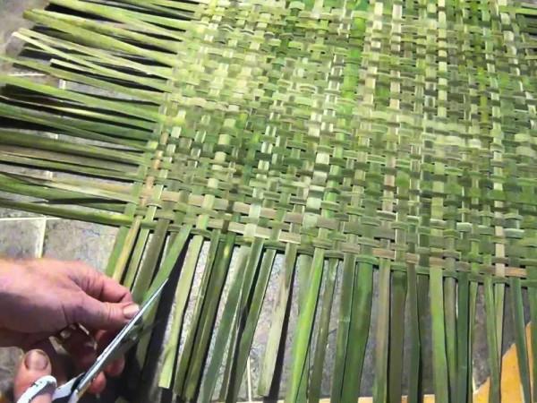 生長在農村河邊的“香腸”,曾是農村娃的玩具,卻不知它價值很高 生長在農村河邊的“香腸”,曾是農村娃的玩具,卻不知它價值很高