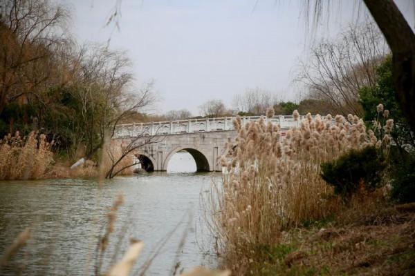 快瞧，橋！