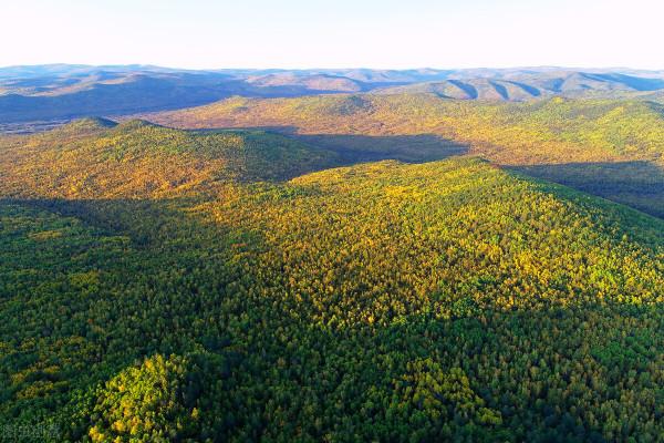 詩詞鄜州│嶺上