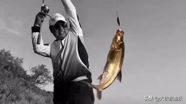 釣魚界四種溜魚大法，不管釣到多大的魚，它都難以逃脫