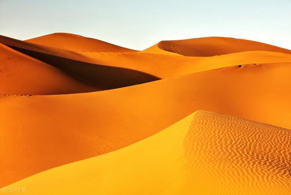 金色沙漠,夢幻之旅 金色沙漠,夢幻之旅
