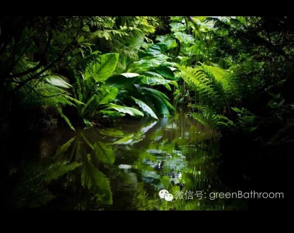 活著 如此不容易