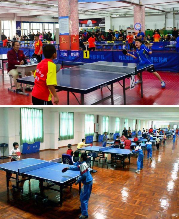 世界乒壇的神秘勁旅“海外兵團”研究，有哪些名將曾締造傳奇？