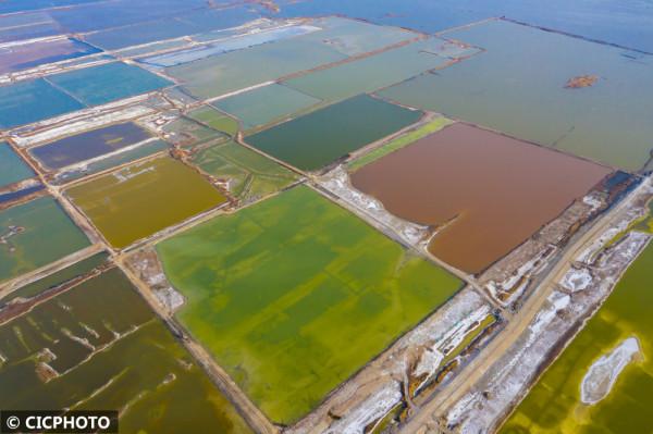 山西運城:冬日鹽湖 風光旖旎 山西運城:冬日鹽湖 風光旖旎