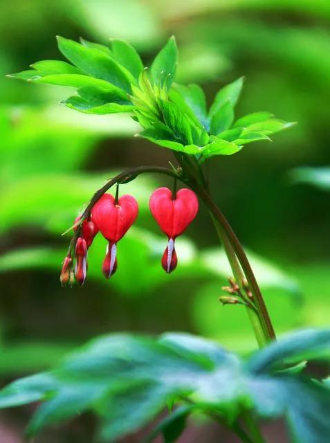 從指縫中，溜走的三天