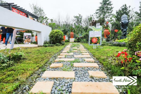 南非植物這麼多，你認識幾種？