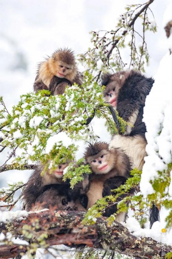 走,去大西南! 走,去大西南!
