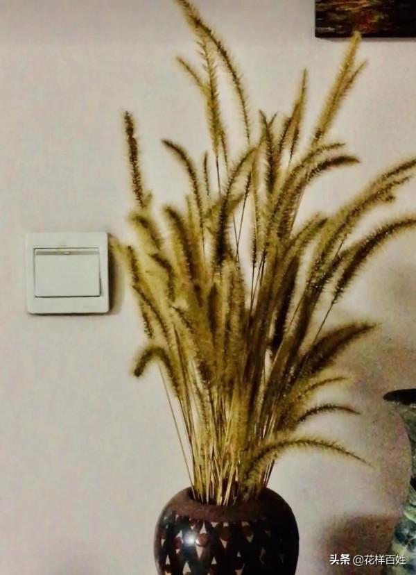 48歲開始跑步，從生活不能自理到馬拉松女神，10年她的改變太驚人