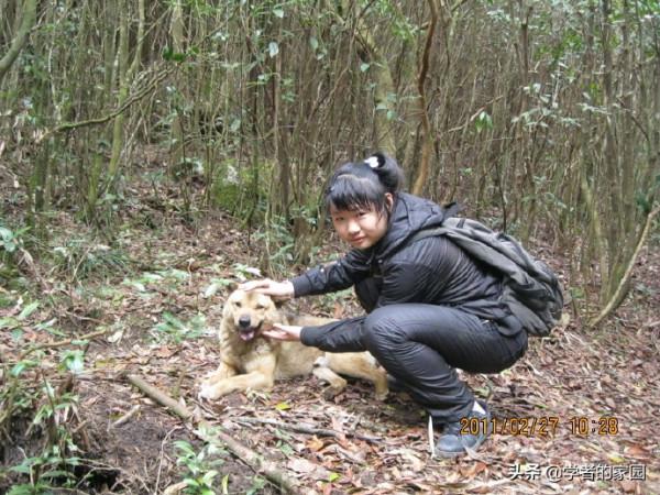 狼山漫筆之看新《貓狗大戰》，又想起了笨皇