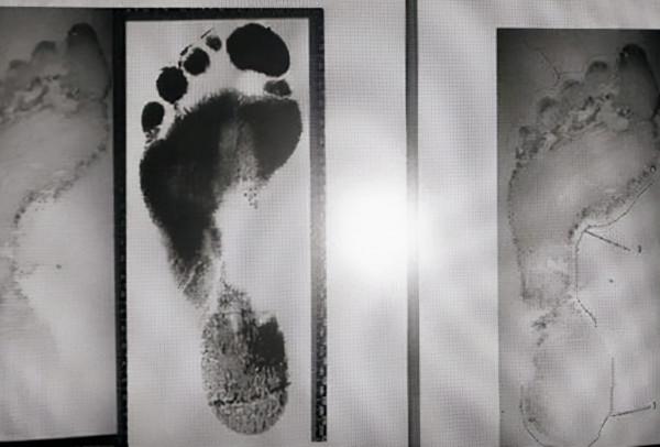 “神眼”馬玉林探案：“尋槍記”