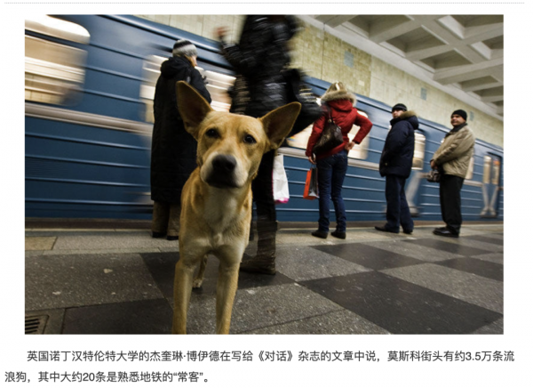 歎為觀止!莫斯科地鐵究竟有多豪華 歎為觀止!莫斯科地鐵究竟有多豪華
