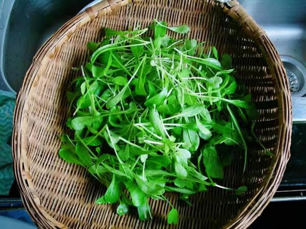 秋冬交替，吃魚吃肉不如吃它，鮮嫩營養又應季，錯過了等明年