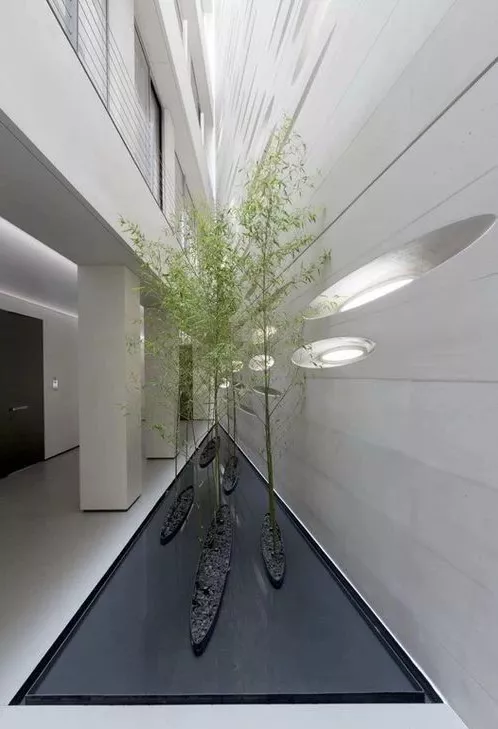 室內做了景觀，實在大愛