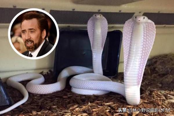 盤點|明星奇葩奢侈品 尼古拉斯·凱奇買了幢凶宅 整個人都不好了 盤點|明星奇葩奢侈品 尼古拉斯·凱奇買了幢凶宅 整個人都不好了