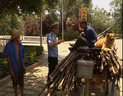 “24歲癱瘓，我收養了一隻差點死掉的貓”