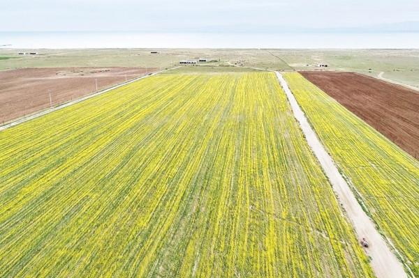 全新標緻4008環青海長測Day1：西寧開始遊記，今天目的地茶卡鎮！