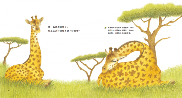 讓孩子一秒踏進自然科學世界的科普繪本《賓果兒童自然科學》